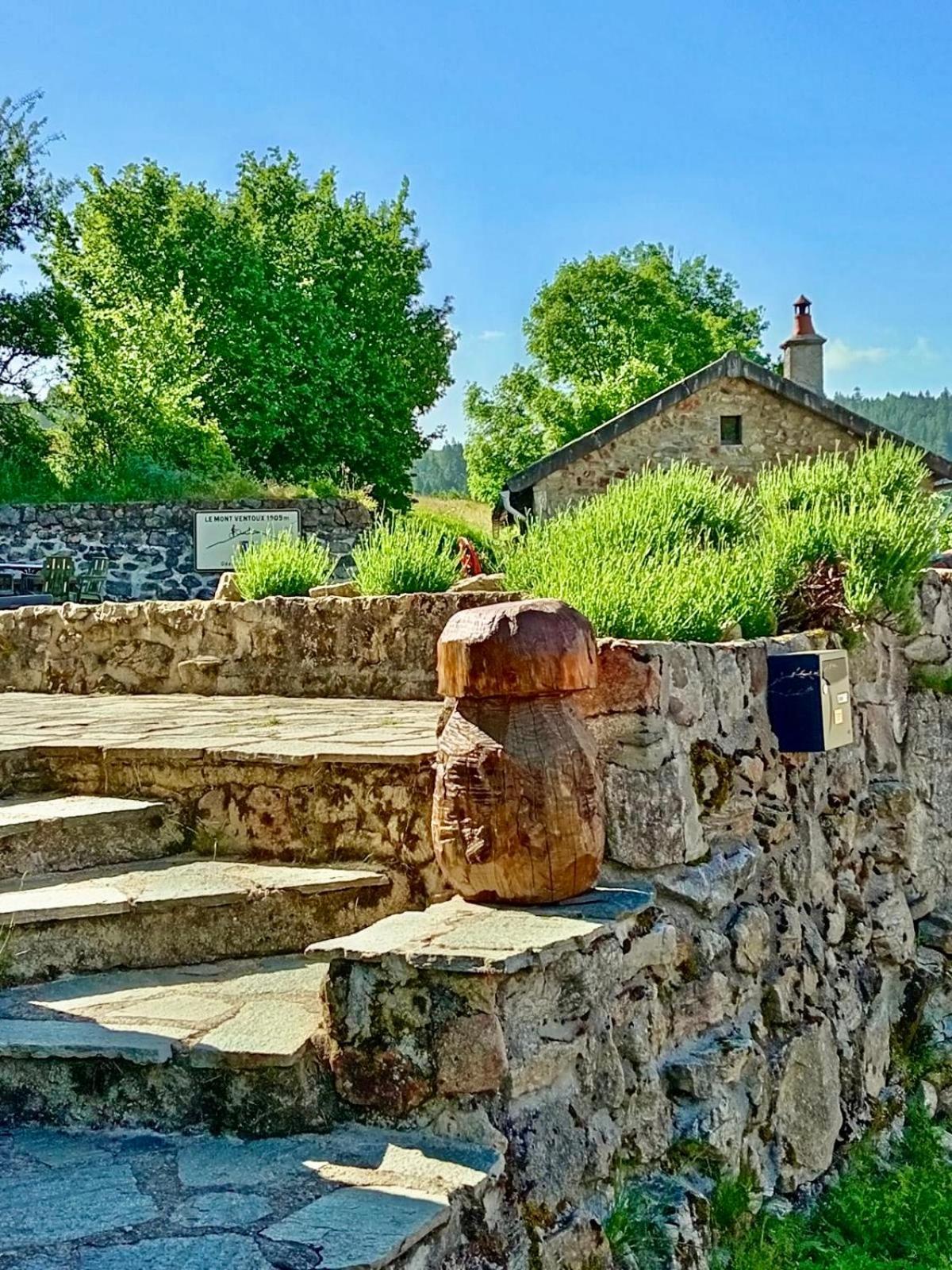 Gite De Groupe 160M2, 15P, Salle De Reception, Jardin, Terrasse Mazan-l'Abbaye Εξωτερικό φωτογραφία